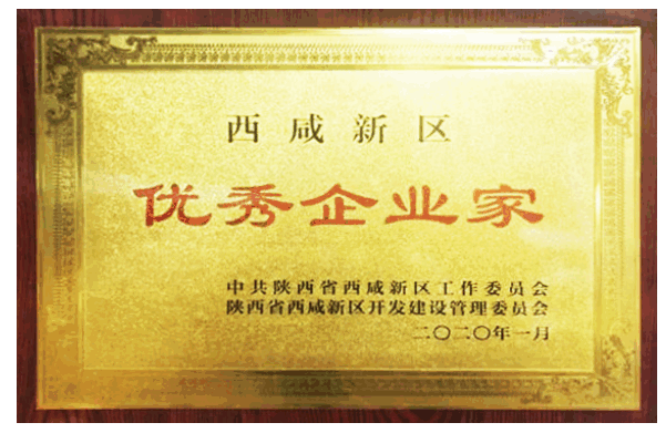 西咸新区优秀企业家